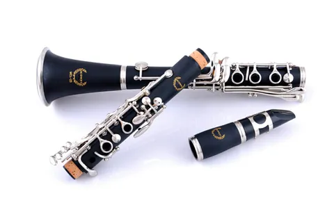 单簧管有哪些比较好的牌子？推荐几款性价比高的单簧管