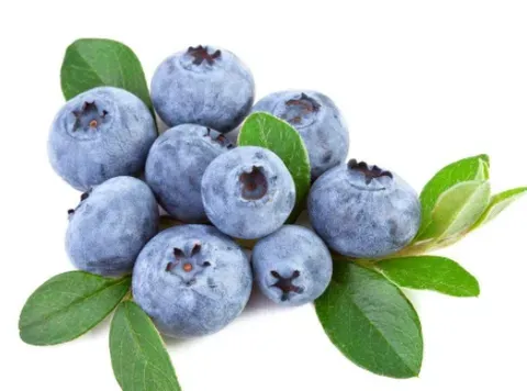 蓝莓怎么快速剥皮？蓝莓土豆泥的配方及具体做法是什么？