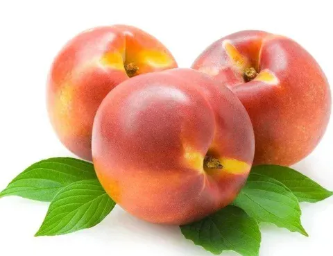 桃子不能和什么一起吃？和西瓜一起吃会致死是真的吗？